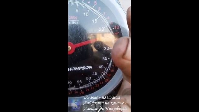 Рыбалка. Вот это рыбину поймал смотреть онлайн