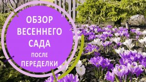 Обзор весеннего сада в Вешках после большой переделки