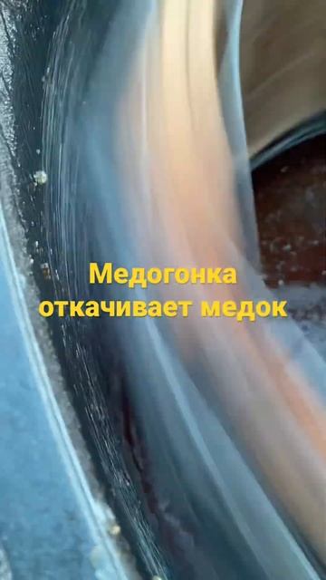 Откачиваем мёд на нашей пасеке Солондаевых. смотреть онлайн