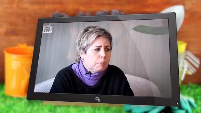 Хитсад Тв лучшие ролики смотреть онлайн