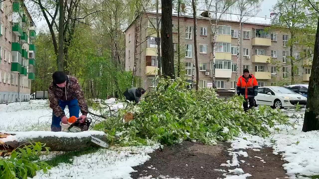 В Дубне ликвидируют последствия обвального снегопада смотреть онлайн