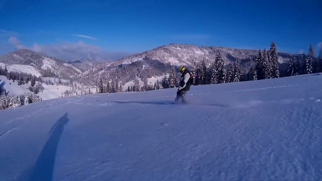 Тростян 17 12 17