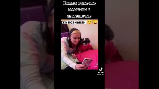 Приколы/ Подборка приколов TikTok/ТикТок #1 смотреть онлайн