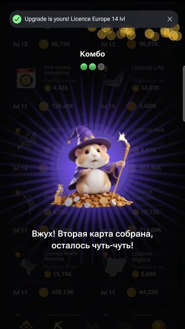 комбо в Hamster Kombat 12-13 июня смотреть онлайн
