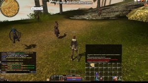 R2 online: 10 лвл у Ассасина