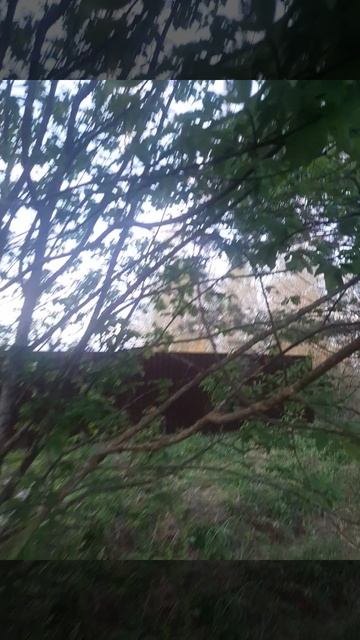 Черёмуха.mp4 смотреть онлайн