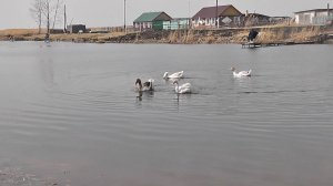 Рыбалка на реке Оша. Деревня Мысы.