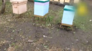 Подставки под улья. Моё пчеловодство