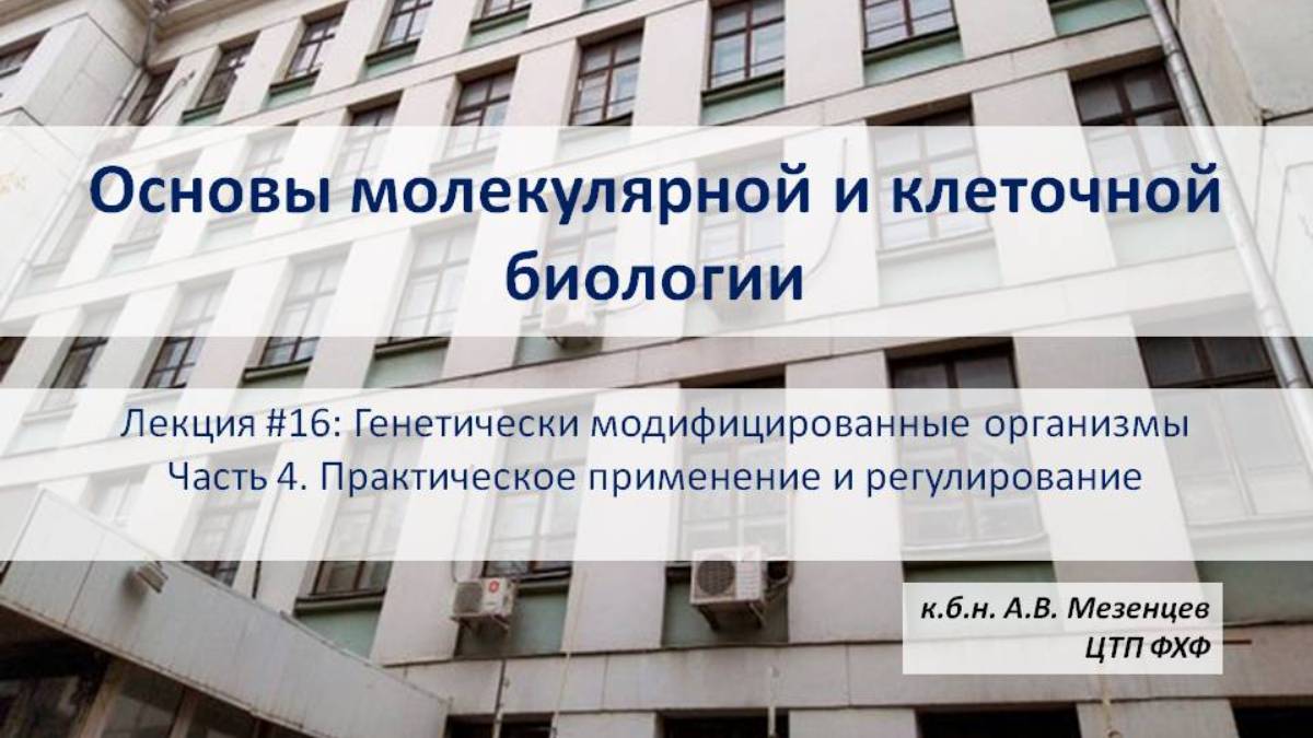Основы молекулярной и клеточной биологии (2024) Л16 ГМО. Ч4 Практическое применение и регуляция