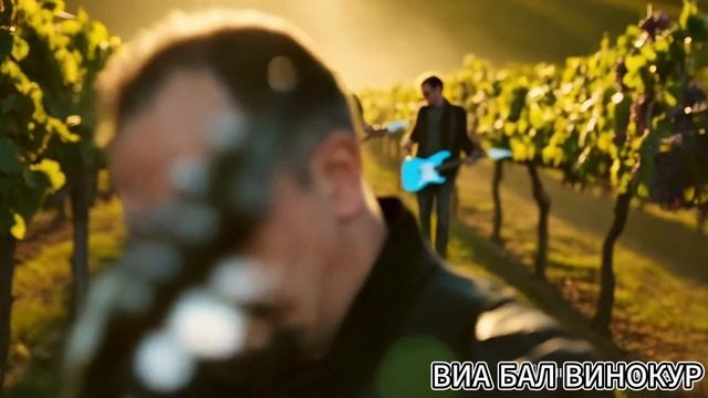 ВИА БАЛ Винокур