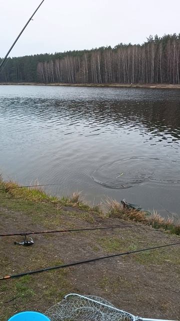 РЫБАЛКА НА КАРПА поймал карпёнка на удочку