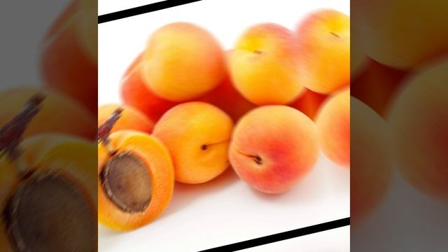 Песни ЕГЭ: абрикос