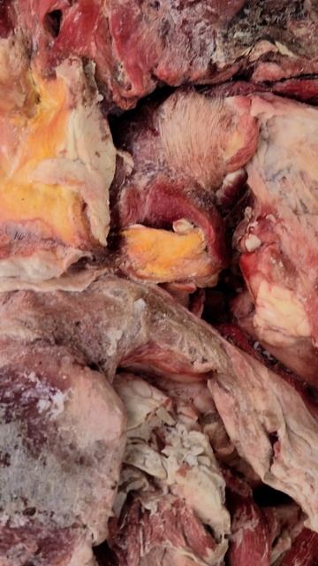 Фейерверки за Копейки