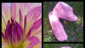 85. МК . # "ГЕОРГИН" # тапочки-следочки а двух спицах без швов