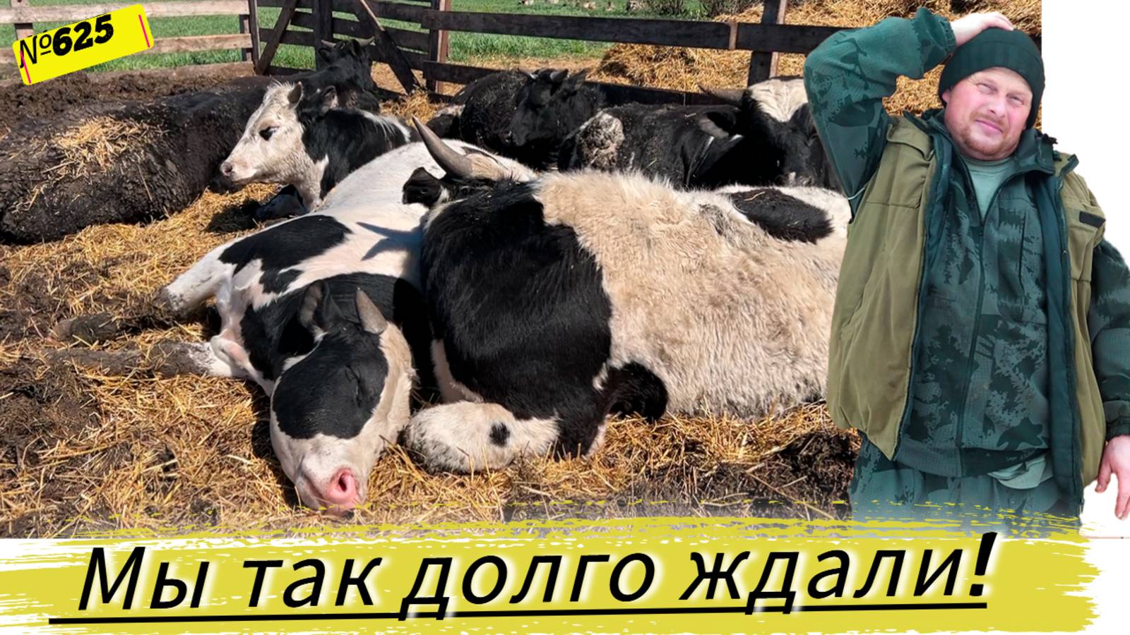 МЫ ЭТОГО СОБЫТИЯ ЖДАЛИ 6 МЕС. Теперь жизнь в деревне станет легче. смотреть онлайн