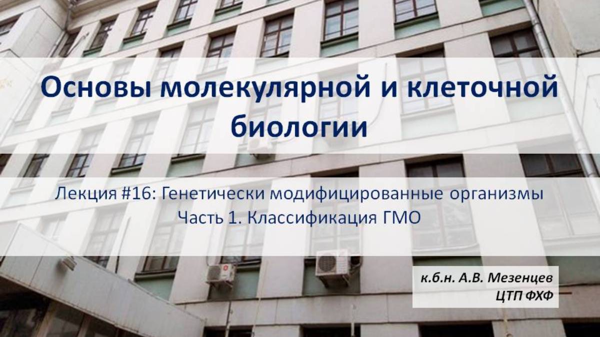 Основы молекулярной и клеточной биологии (2024) Лекция 16  ГМО Часть 4  Классификация ГМО.