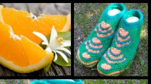 81. МК " ДОЛЬКИ АПЕЛЬСИНА "