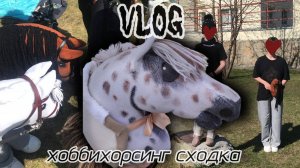✨хоббихорсинг влог//соревнования на сходке