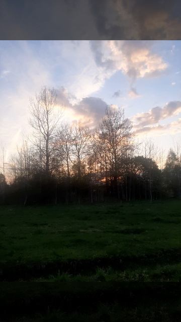 Прелестный майский вечер.mp4 смотреть онлайн