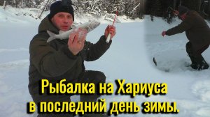 Рыбалка на Хариуса в последний день зимы. Кто ищет, тот найдёт.