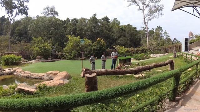 Винперл Фукуок сафари парк, шоу птиц (Vinpearl Safari Phu Quoc) _ часть 2