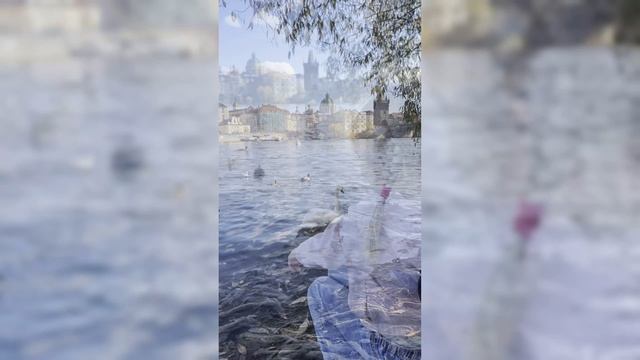 Лебеди в Праге смотреть онлайн