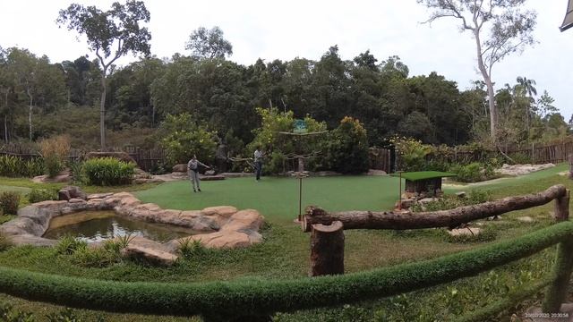 Винперл Фукуок сафари парк, шоу птиц (Vinpearl Safari Phu Quoc) _ часть 3