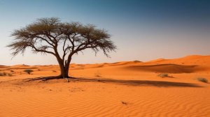 Песня 2025. Александр Пушкин — Анчар