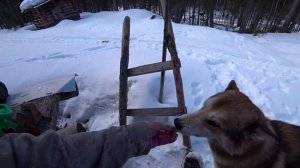 Поход в лес с ночёвкой