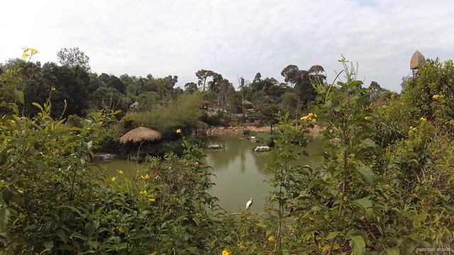 Птицы в Винперл Фукуок сафари парк (Vinpearl Safari Phu Quoc) _ часть 2