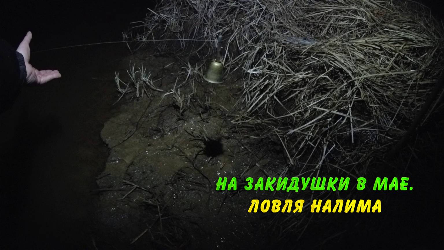 Рыбалка на закидушки в мае. Ловля налима смотреть онлайн