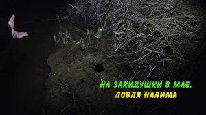 Рыбалка на закидушки в мае. Ловля налима