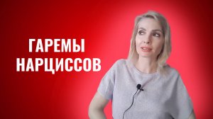 Гаремы нарциссов. Распределение ролей в гаремах