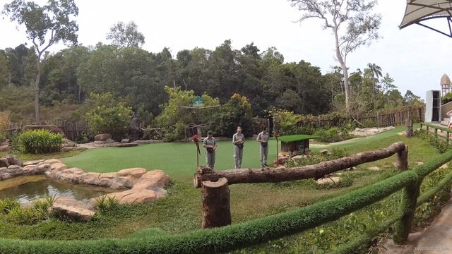 Винперл Фукуок сафари парк, шоу птиц (Vinpearl Safari Phu Quoc)