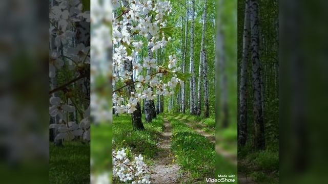 С Добрым утром!!! смотреть онлайн