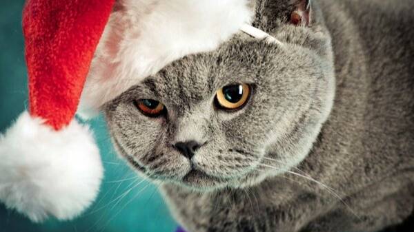 Dark Luminous Intro_free