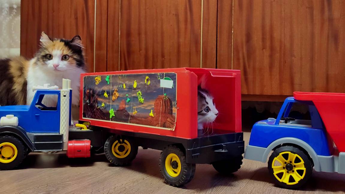 Котята играют с детскими игрушками 2. Мама-кошка и ее котята 2. смотреть онлайн