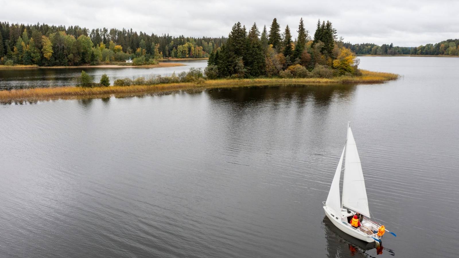 Видео участка в Кривой Клетке Демянский район Новгородская область