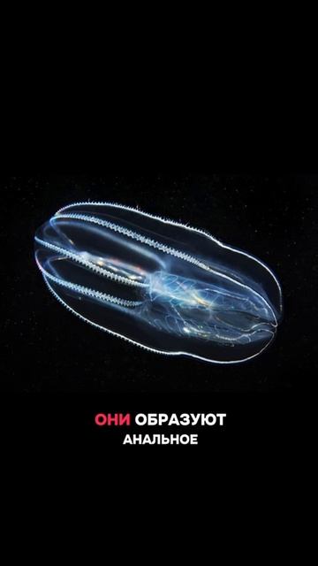 Интересные создания!