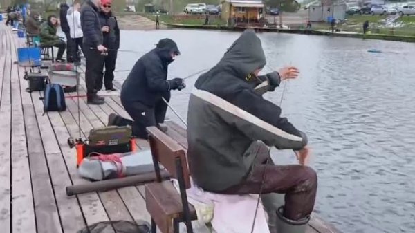 -7429582467390234426