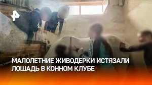 Жесткие кадры, 18+! Девочки-подростки зверски избили лошадь в конном клубе в Нижнем Новгороде