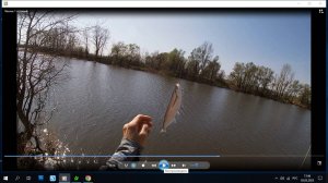 Первая рыбалка этого года. Ловим чехонь на удочку на дальний заброс. Вялим чехонь