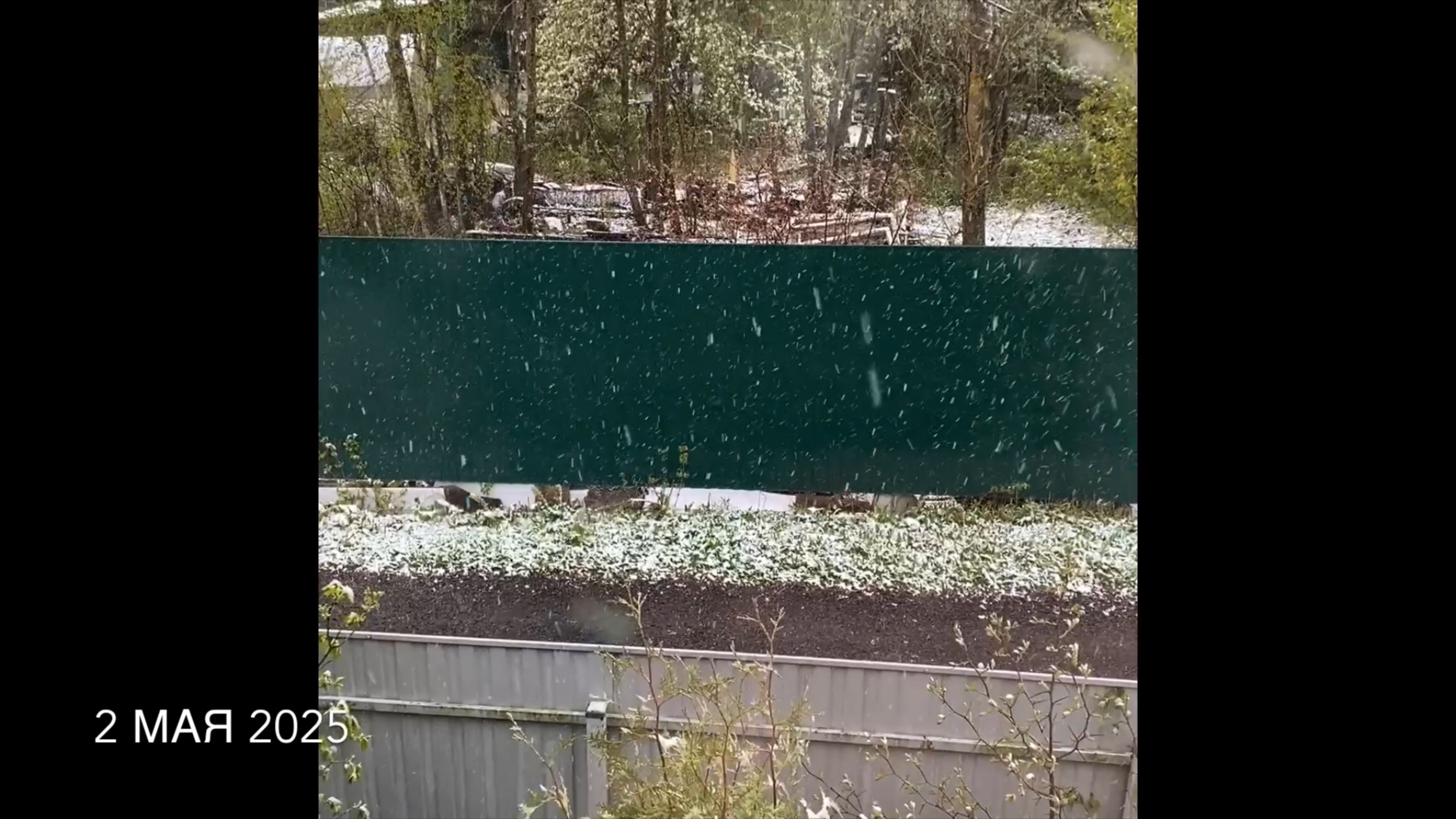 Снегомай 2.05.2025. Милка потеряла траву. В парнике рассада. смотреть онлайн