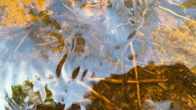 Минута № 65. Смотри и отдыхай.