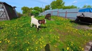 Ещё сто раз передумаю Всех выпустила