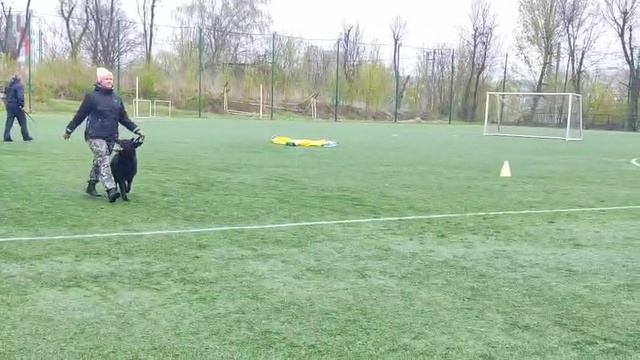 2 Отл. СС OTAKU v. Mair Hof Лучшая защита! №23 / КЧК КОСТРОМА 26 апреля`25 В.Хижняк Моно немецких ов