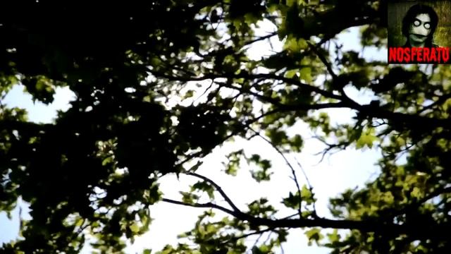 Девочка с противным голосом. Страшные истории на ночь 🫣🫣🫣 смотреть онлайн