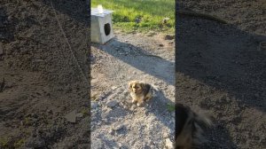 Ракетная опасность