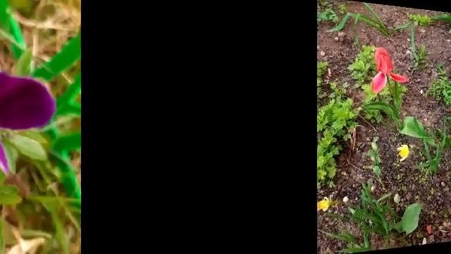 Красота и уют.mp4 смотреть онлайн