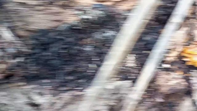 НЕОЖИДАННАЯ НАХОДКА! ГРИБЫ ШАМПИНЬОНЫ И ЗИМНИЕ ОПЯТА. #грибы #тихаяохота #шампиньоны #фламулина смотреть онлайн